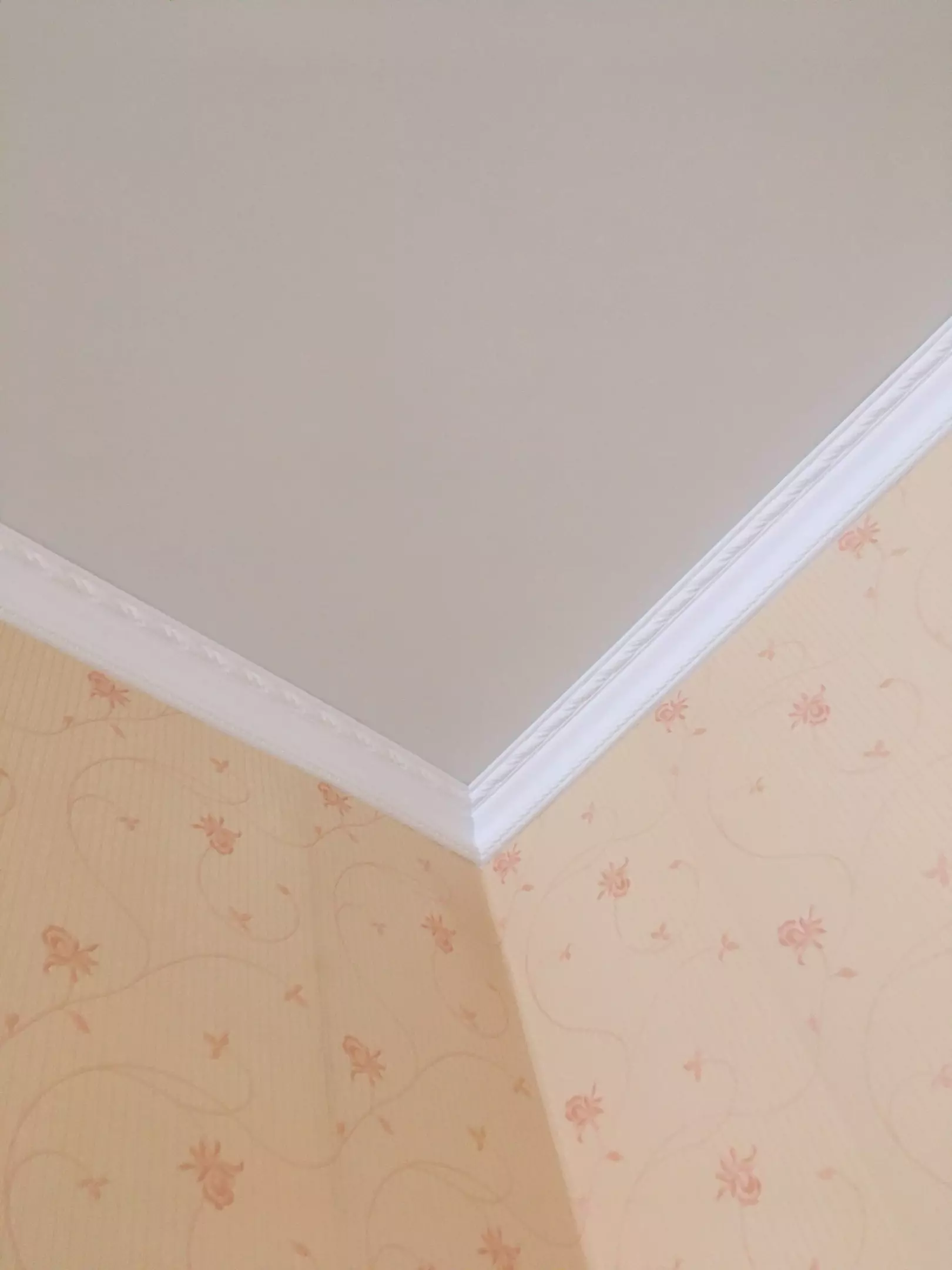 Владимир, Комиссарова, 13, фото 3