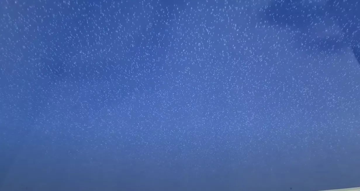 Йошкар-Ола, Прохорова, 50, фото 3