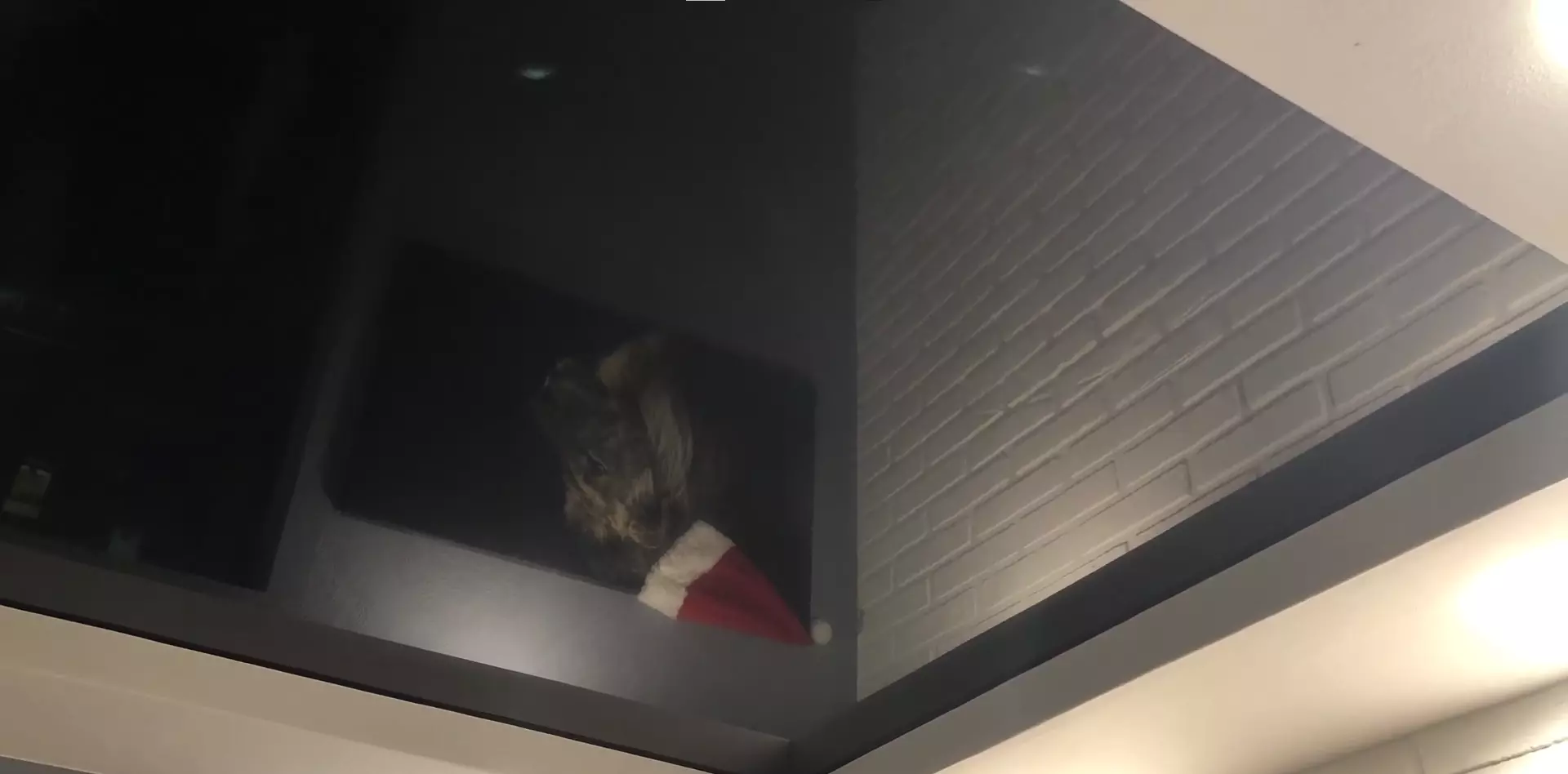 Ноябрьск, , фото 3