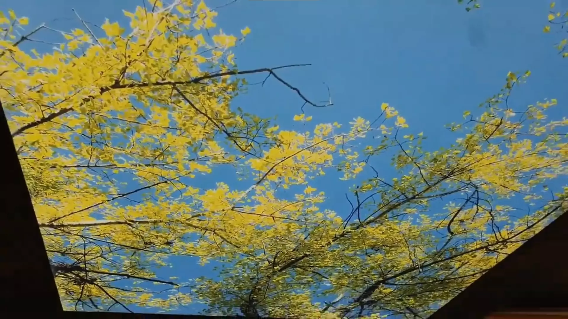 Владимир, Гвардейская (Юрьевец), 11, фото 2