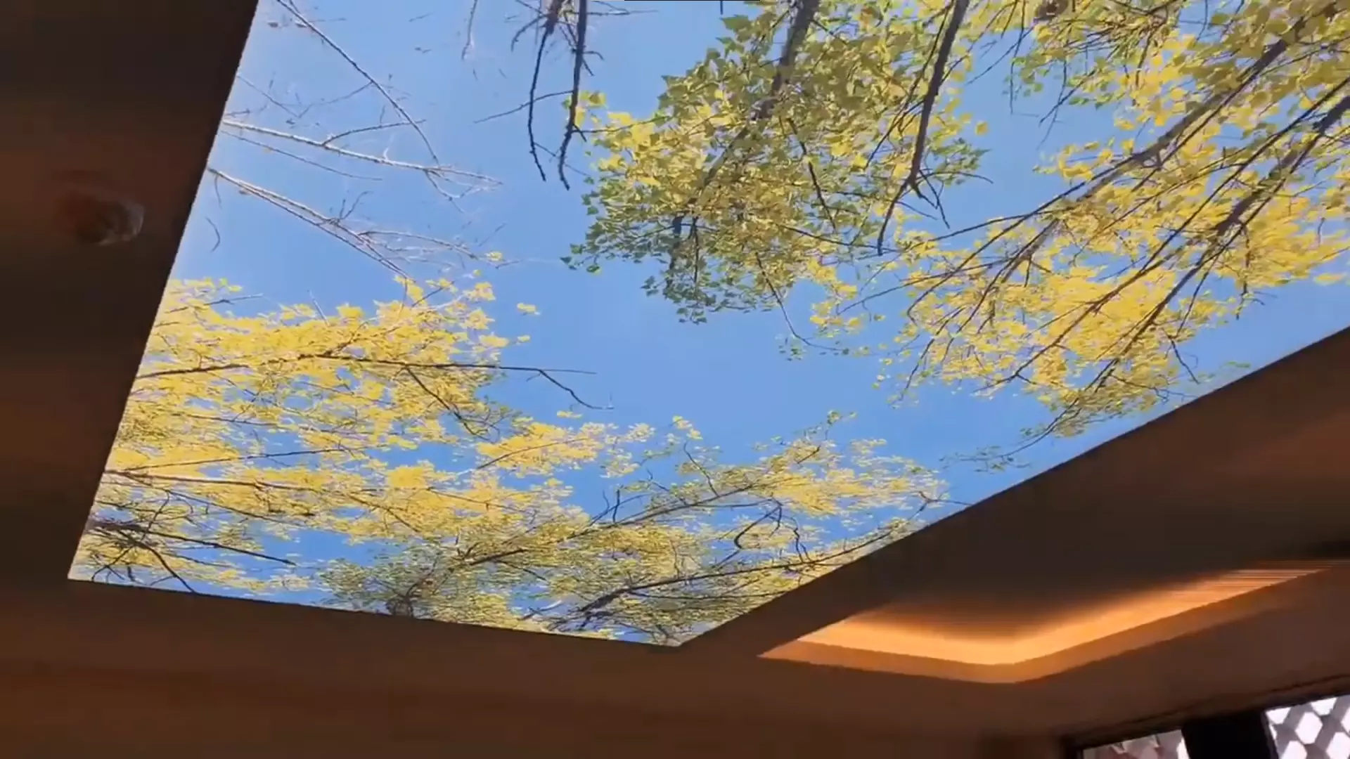 Владимир, Гвардейская (Юрьевец), 11, фото 3